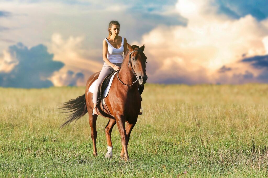 woman, horseback riding, field, horse, nature, jockey, pasture, outdoors, caucasian, horse, horse, horse, horse, horse